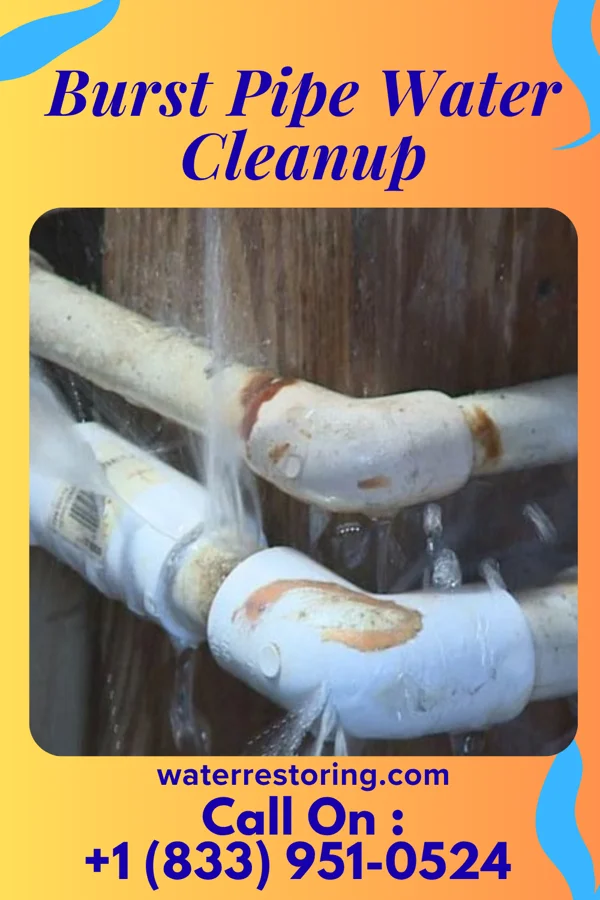 Burst Pipe Water Cleanup in Gann, OH