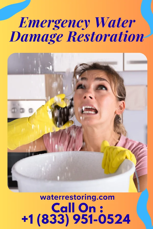 Emergency Water Damage Restoration in Gann, OH