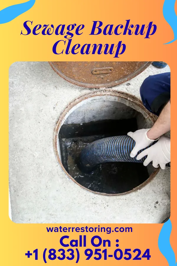 Sewage Backup Cleanup in Gann, OH